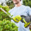 Ryobi Ryobi ONE+ 2-σε-1 ψαλίδι θάμνων 18V RY18GSA-0 (Μόνο εργαλείο) 2