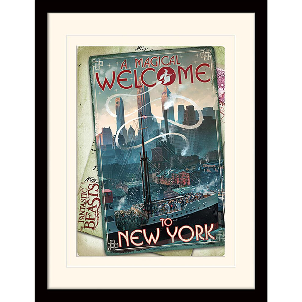 Fantastic Beasts (New York) Framed 30 x 40cm Print with mount