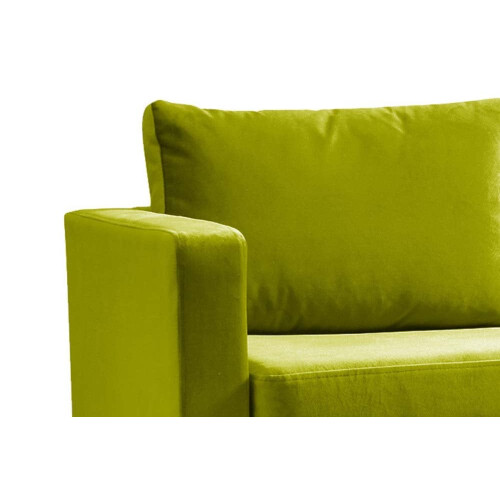 Boxfit Grass Fabric 2 Seater Sofa 2