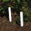 Yuzet Yuzet White plant pot labels stake seed tray marker stick 3