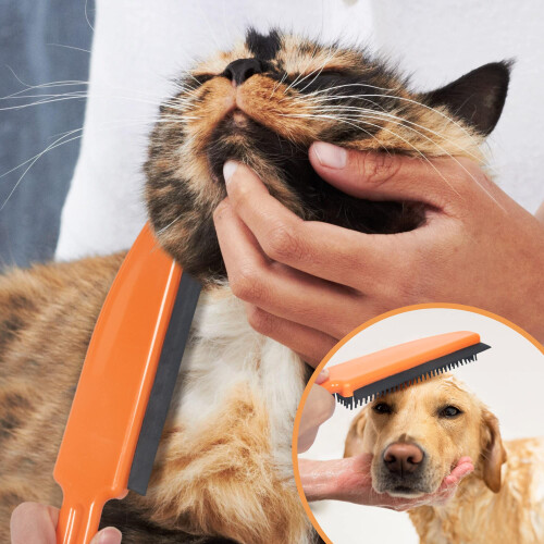 Carpet Rake for Pet Hair Remover Long Handle with Squeegee, Rubber