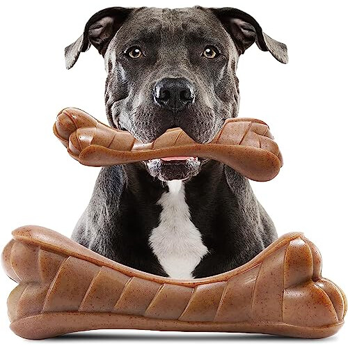 Durable outdoor dog toys best sale