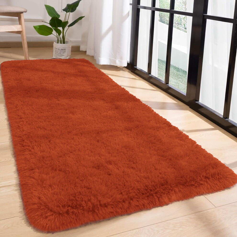 (Rust/Orange, 80 x 150 cm) Non-Slip Runner Rugs Bedroom Living Room Door Mats