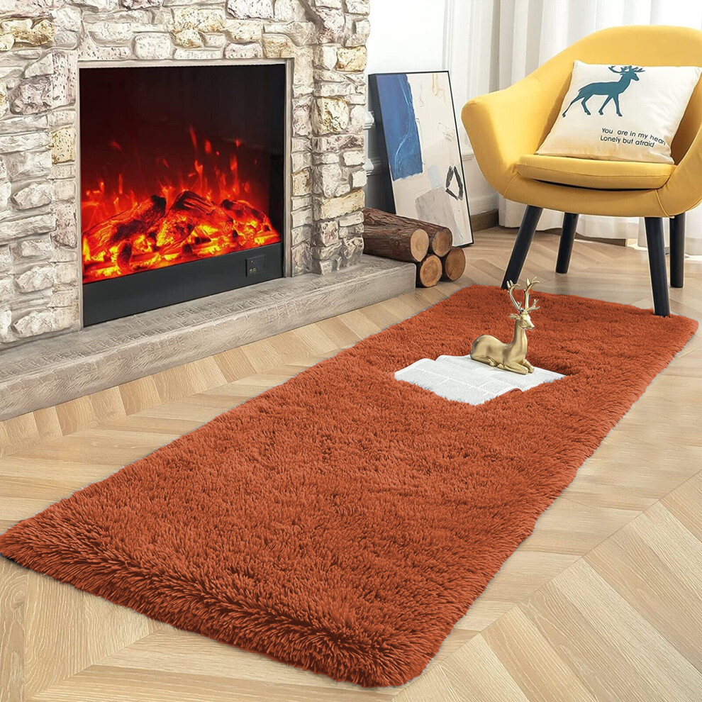 (Rust/Orange, 60 x 220 cm) Non-Slip Runner Rugs Bedroom Living Room Door Mats