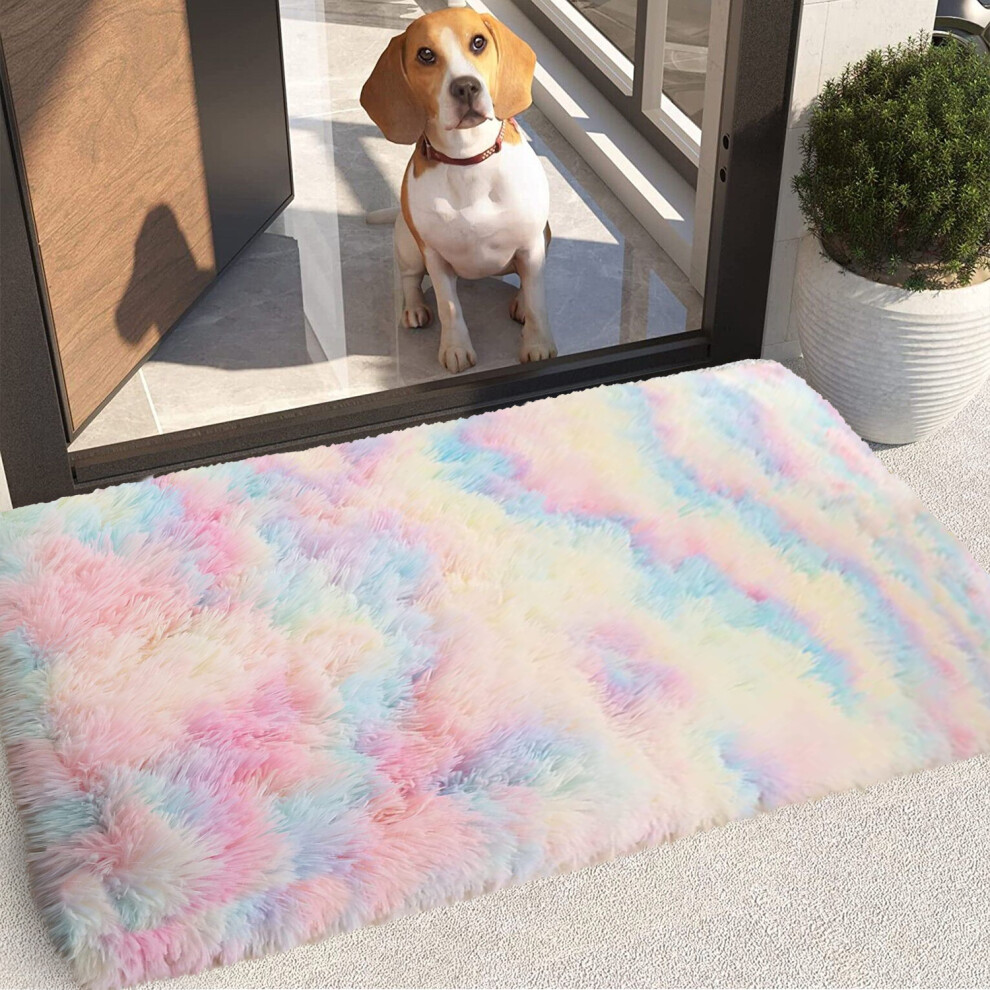 (Rainbow, 50 x 80 cm) Non-Slip Runner Rugs Bedroom Living Room Door Mats