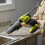 Ryobi Ryobi ONE+ Caulking Gun 18V RCG18-0 (Tool Only) 5