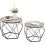 Vintage Industrial Nesting Coffee Tables, Easy Assembly 1