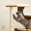 Rustic Cat Tree with Cozy Cushions and Sisal Posts 5
