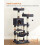 Multi-Level Cat Tree with Hammock & Platforms 3