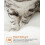 Elegant Greige Cat Tree with Easy-Clean Plush Cushions 4