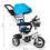 Tricycle, wheeled carriage, rotating blue roof 8