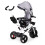 Rotating tricycle with a hood 360 Gray 4