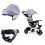 Dreirad mit drehbarem Sitz 360' ECOTOYS, grau 6
