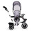Dreirad mit drehbarem Sitz 360' ECOTOYS, grau 3