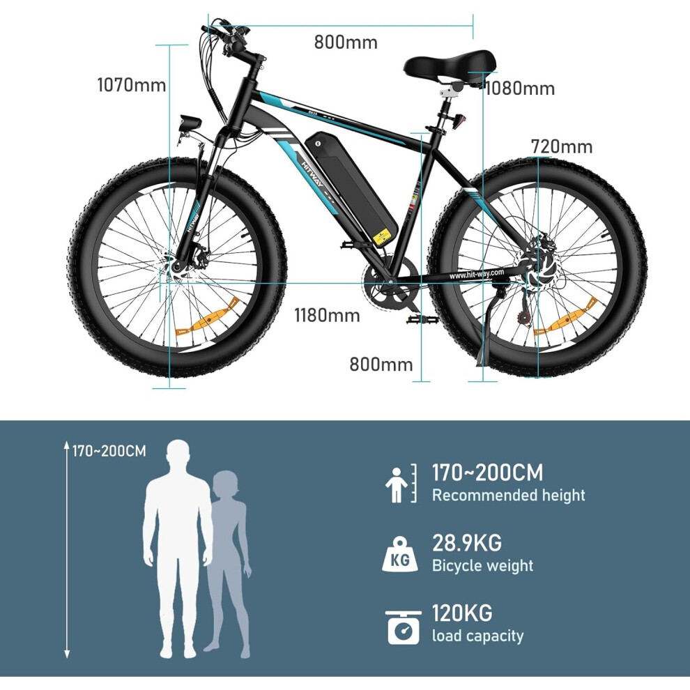 Fat shops tire hybrid bike