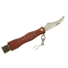Taschenmesser zum Sammeln von Pilzen