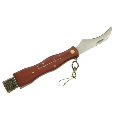 Taschenmesser zum Sammeln von Pilzen