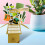 Clever Cube Congratulations Happy New Home Pop Up Greeting Card 4