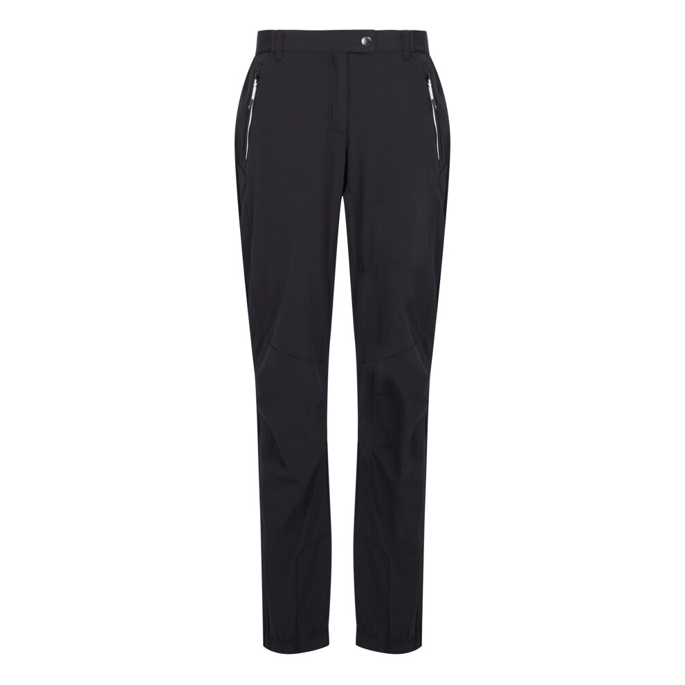 (12 UK, Black) Regatta Womens/Ladies Mountain III Hiking Trousers