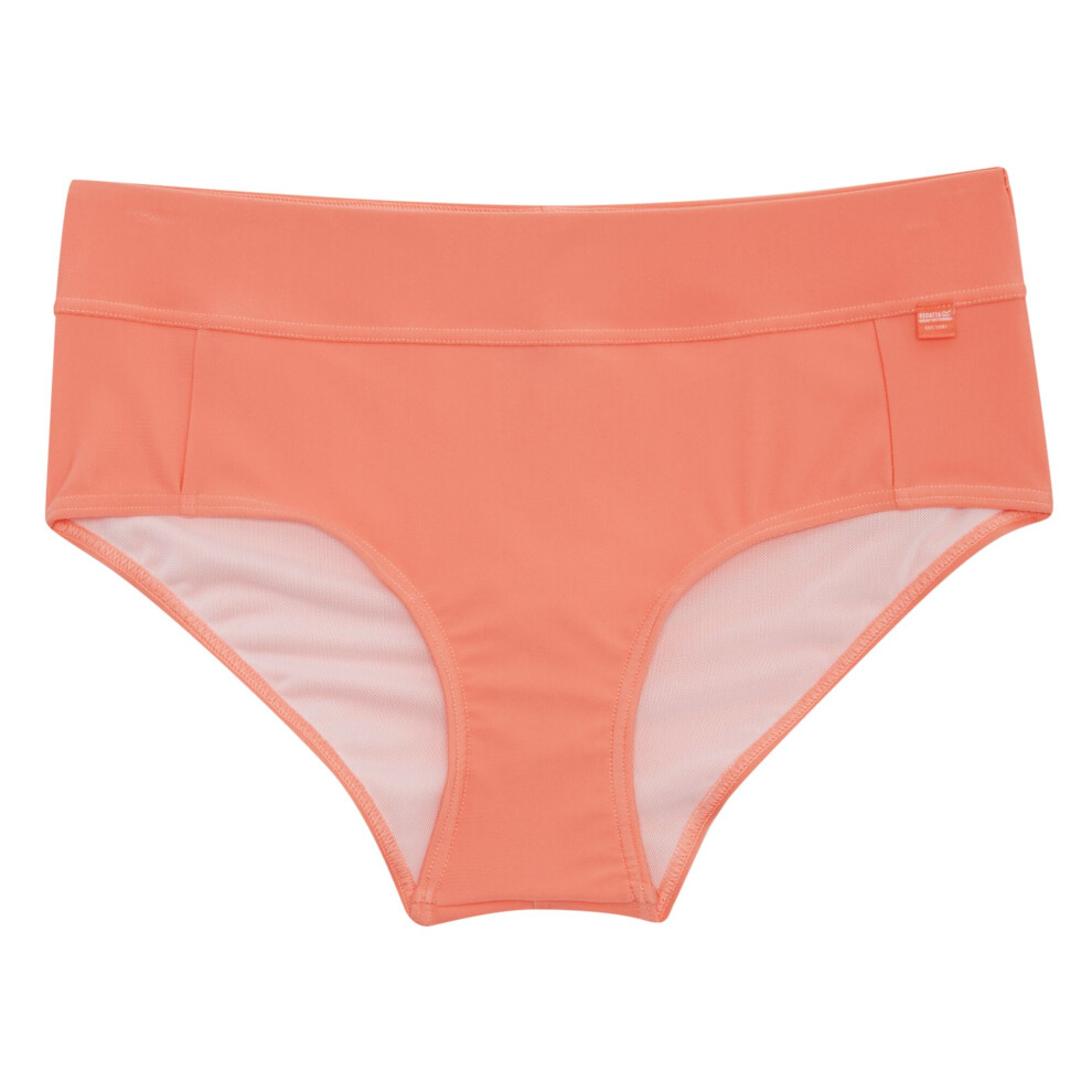 (8 UK, Shell Pink) Regatta Womens/Ladies Paloma Textured Bikini Bottoms