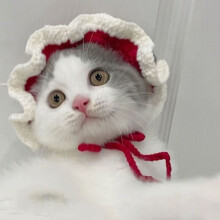 (S, Style 4) Autumn Winter Cat Hat Cute Cartoon Puppy Pet Cap Refined Elastic Kittens Knitted Hat Photo Shoot Props Cat Accessories