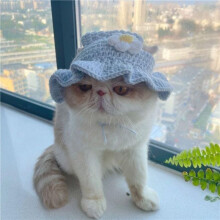 (M, Style 3) Autumn Winter Cat Hat Cute Cartoon Puppy Pet Cap Refined Elastic Kittens Knitted Hat Shoot Props Cat Accessories