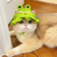 (M, Style 1) Autumn Winter Cat Hat Cute Cartoon Puppy Pet Cap Refined Elastic Kittens Knitted Hat Shoot Props Cat Accessories