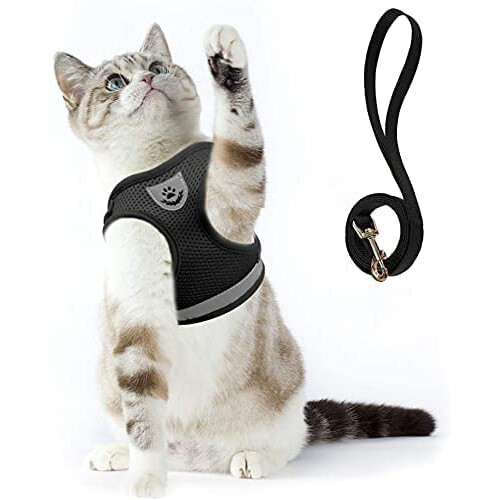 Cat car seat harness best sale