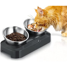 PewinGo Raised Cat Bowl with Stainless Steel, Easy to Clean & Non-Slip Silicone Mat Cat Feeder with 0 &15? Tilting Neck Protective Bowl for Pets, Cats