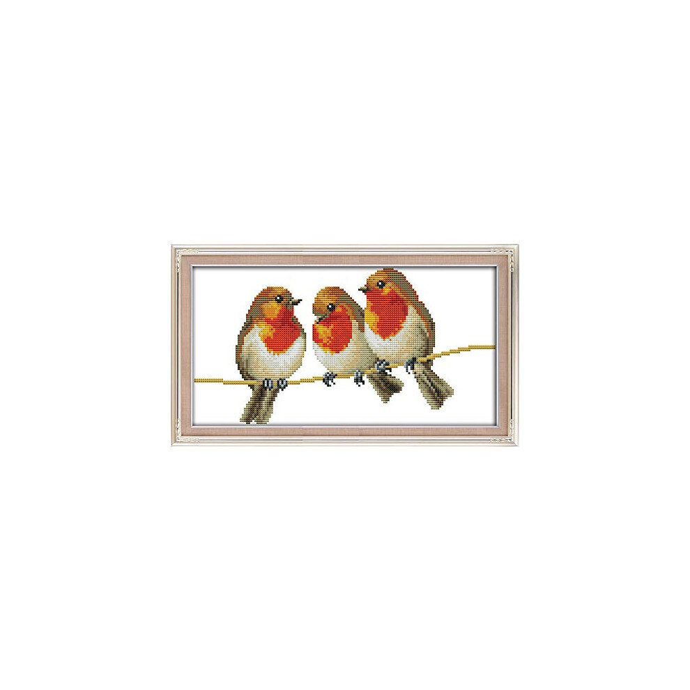 Cross Stitch Kits, Three Little Birds Awesocrafts Easy Patterns Cross Stitching Embroidery Kit Supplies, Stamped or Counted Options for Adults