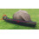 HUNTER PRO Square 3.6m Keep Net 10