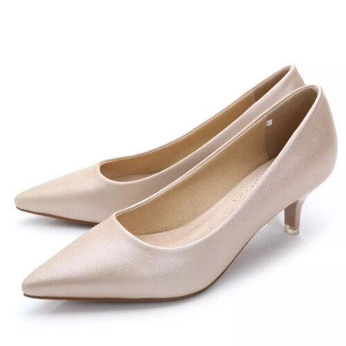Apricot UK Size 7 Tag Size 41 Ladies Pumps Pointed Toe Dress Shoes Womens Work Fashion Slip On Comfort Heels on OnBuy