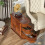 Tribesigns Tribesigns Solid Wood Side Table, 2-Drawer Narrow End Table Slim Table 13