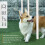 PawHut Dog Agility Equipment Obedience Training Set for Dogs - Multicoloured 3