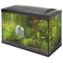 (70 Black) Superfish Start Tropical Aquarium Kit 30 50 70 100 150 Black White LED Fish Tank