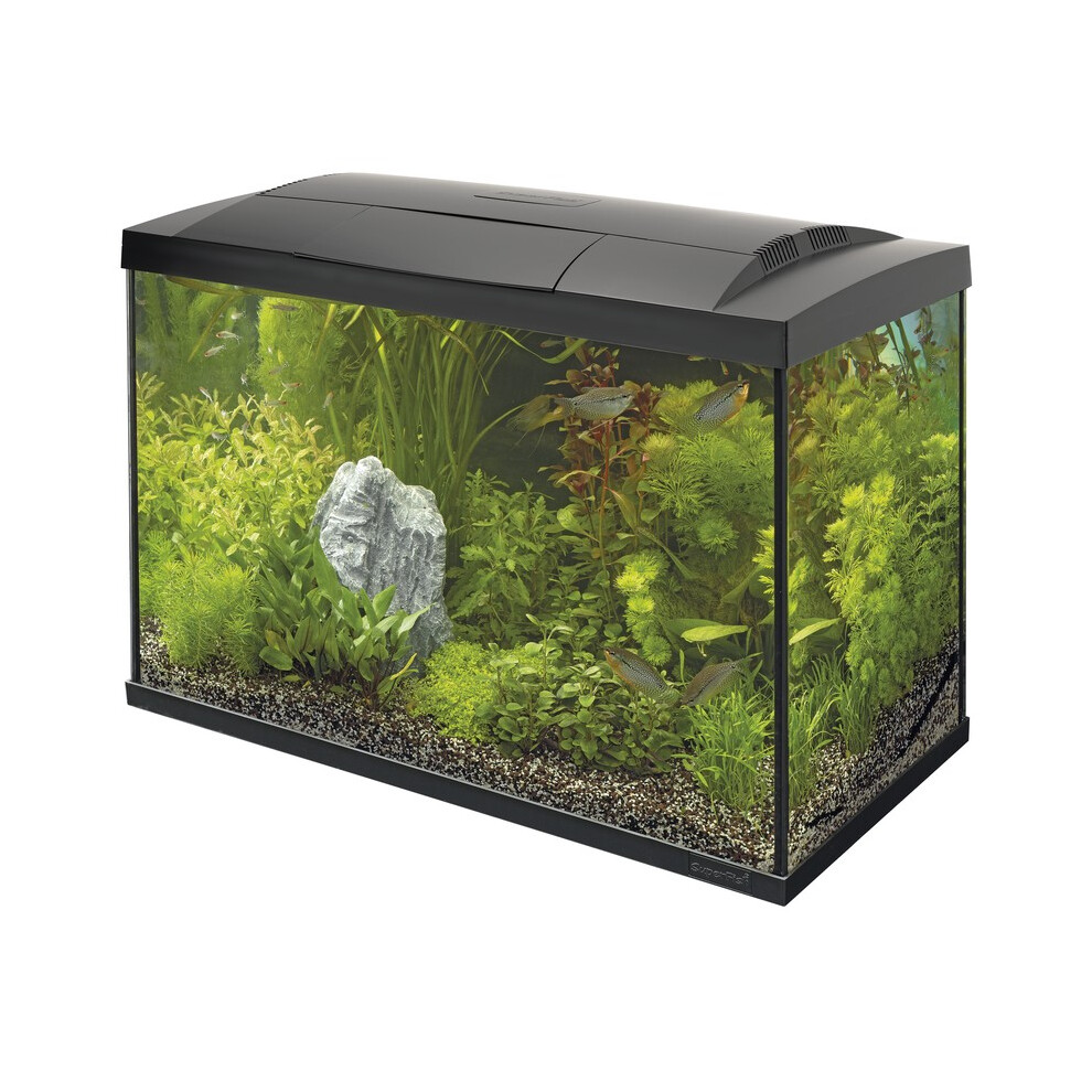 (70 Black) Superfish Start Tropical Aquarium Kit 30 50 70 100 150 Black White LED Fish Tank