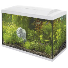 (70 White) Superfish Start Tropical Aquarium Kit 30 50 70 100 150 Black White LED Fish Tank