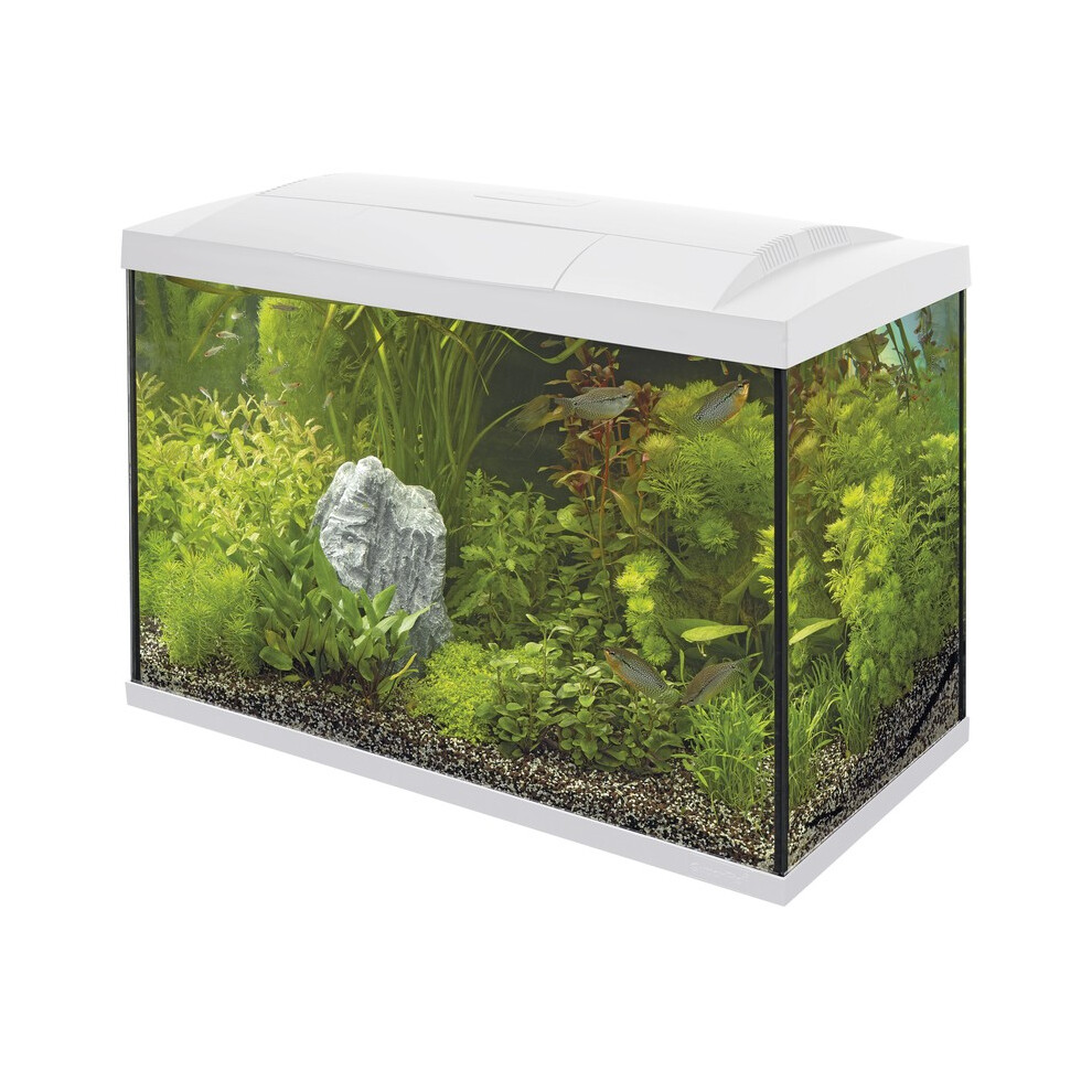 (70 White) Superfish Start Tropical Aquarium Kit 30 50 70 100 150 Black White LED Fish Tank