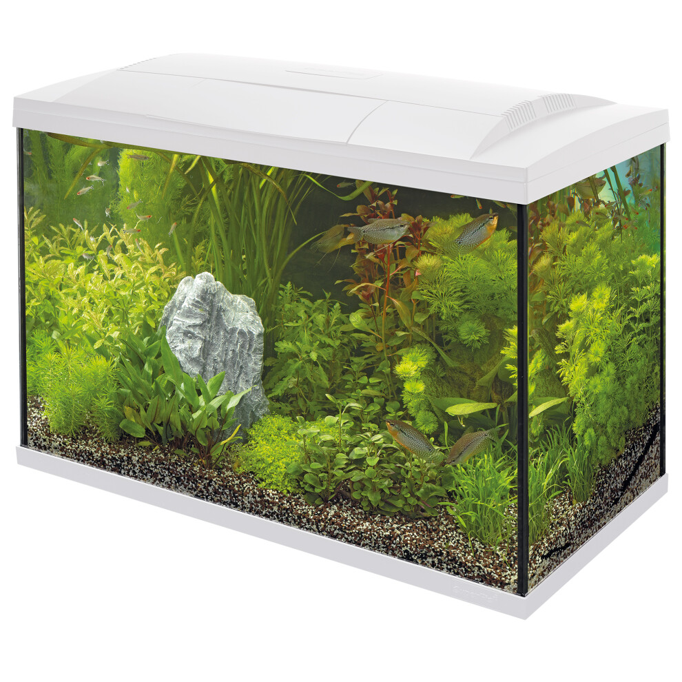 (150 White) Superfish Start Tropical Aquarium Kit 30 50 70 100 150 Black White LED Fish Tank