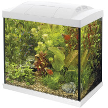 (50 White) Superfish Start Tropical Aquarium Kit 30 50 70 100 150 Black White LED Fish Tank