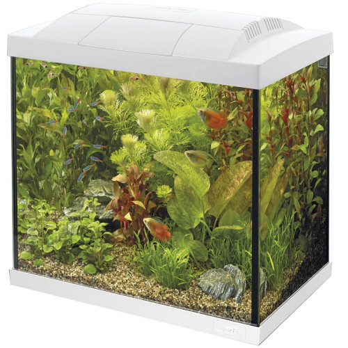 (50 White) Superfish Start Tropical Aquarium Kit 30 50 70 100 150 Black White LED Fish Tank