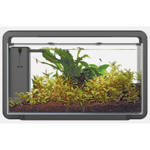 (Black, Home 30) Superfish Home Aquarium with Filter Pump & LED Lighting Easy Setup Fish Tank