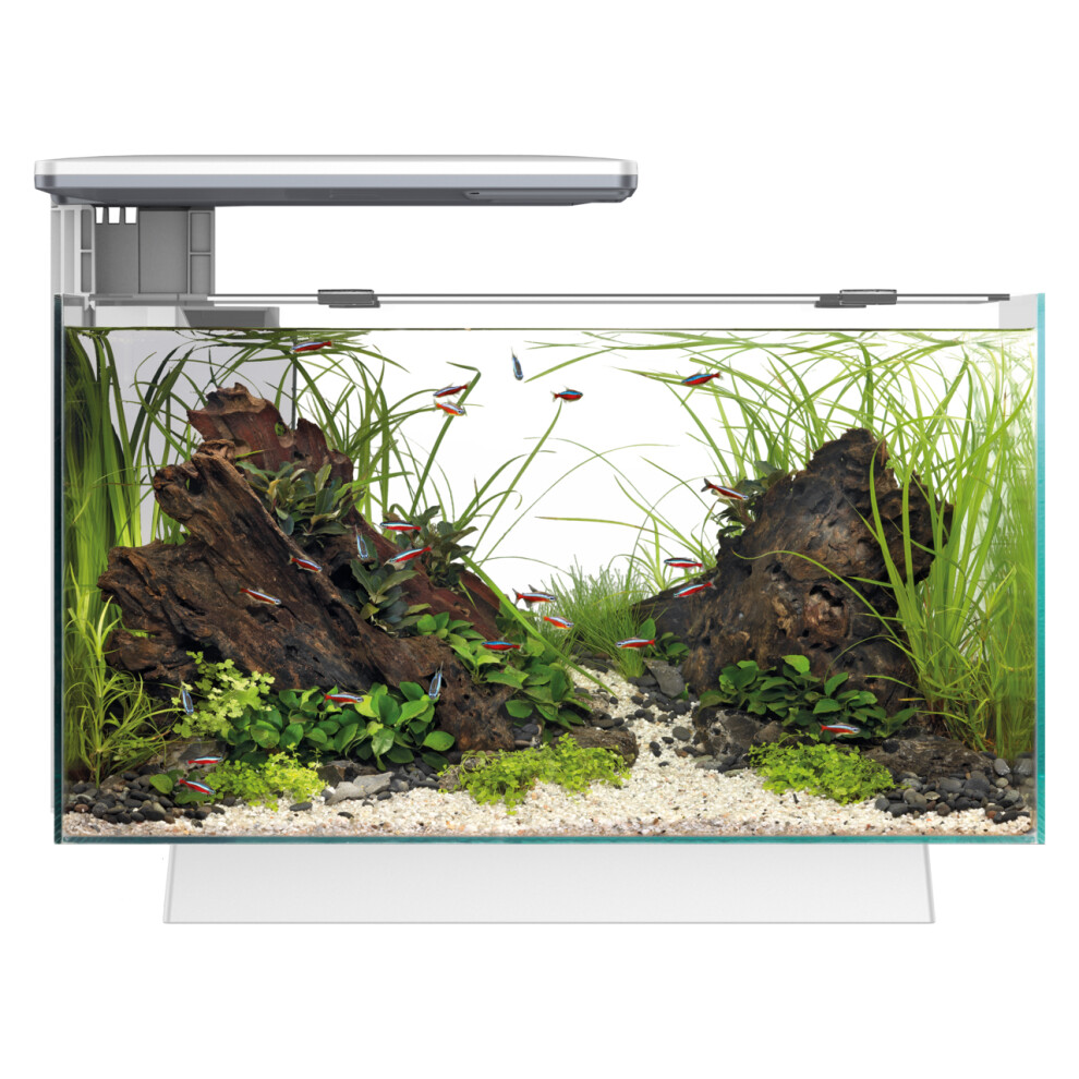 (White, Multicolour) Superfish Quadro 40 Aquarium Fish Tank LED Lighting & Filter, Optional Cabinet