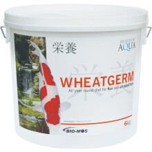 (0.8kg) Evolution Aqua Wheatgerm Koi Pond Fish Food Pellets Autumn Winter Garden Season