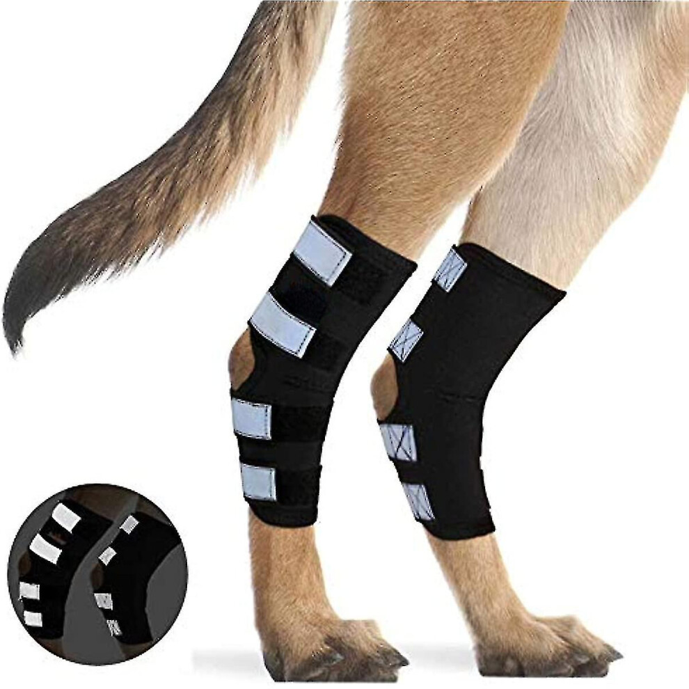 (XS) Dog Rear Leg Hock Brace, Rear Hock Joint Support With Safety Reflective Straps For Pet Wound Healing, Injuries, Sprains From Arthritis