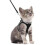 Cat Harness Kitten Harness With Cat Lead, Soft 1