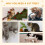 PawHut PawHut 173cm Cat Tower Scratching Post Activity Centre for Indoor Cream 6