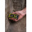 Ryobi yobi Moisture Meter - RBPINMM1 6
