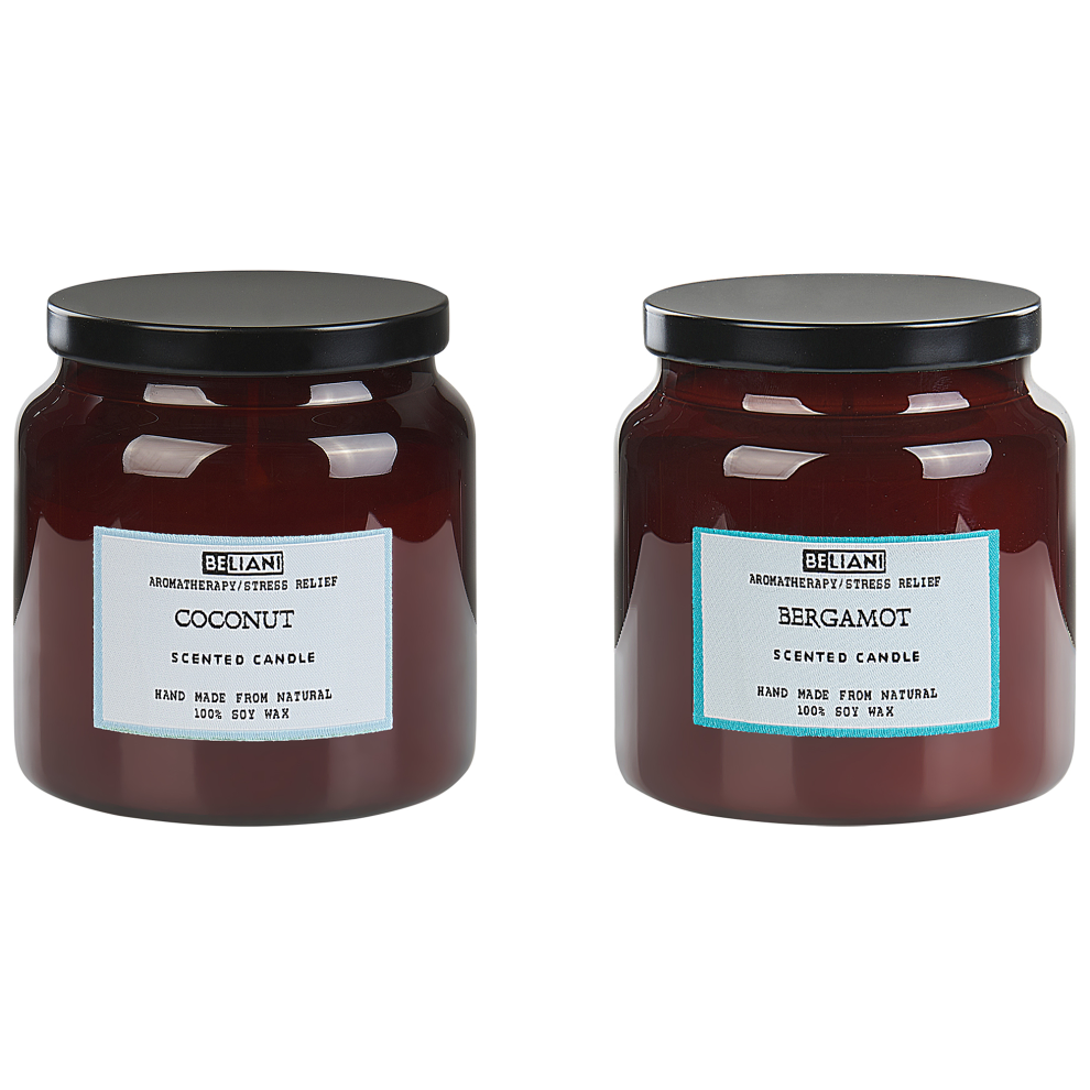 Set of 2 Scented Candles ABSOLUTE ALCHEMY Soy Wax Fresh Notes