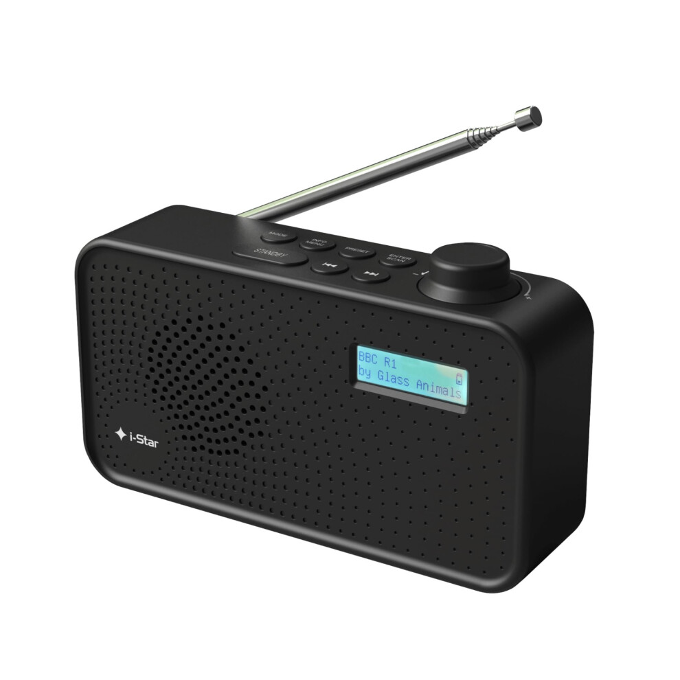 DAB Radio Portable, DAB Plus/DAB Radio, FM Radio, Small Radio, Digital Radio Mains Powered or Battery, USB Charging, Clear LCD Display (Black)